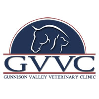 GVVC Logo